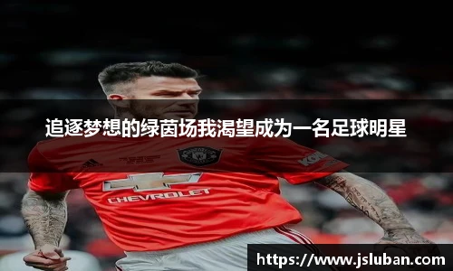 追逐梦想的绿茵场我渴望成为一名足球明星